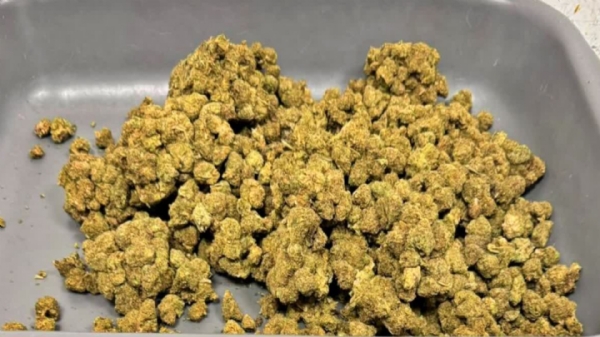 Weed Seized Weed Seized