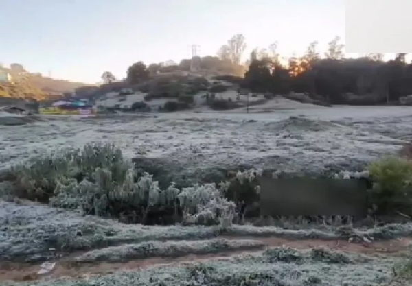 நீலகிரியில் நிலவும் உறைபனியால் சுற்றுலா பயணிகள் உற்சாகம்