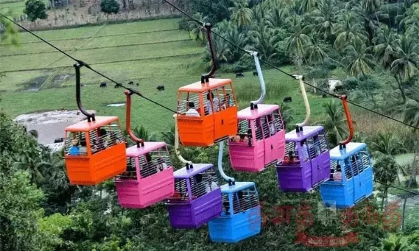 மாதாந்திர பராமரிப்பு பணி காரணமாக பழனி முருகன் கோவிலில் ரோப் கார் சேவை இன்று நிறுத்தம்