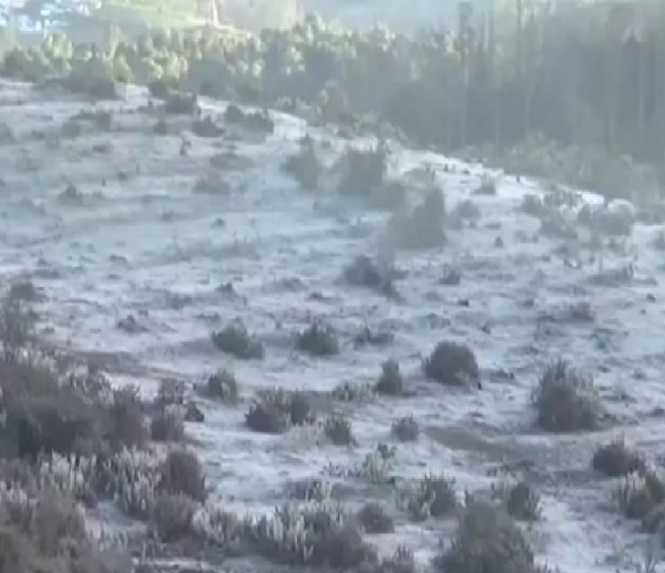 ஊட்டியில் உறைபனியை காண செல்லும் சுற்றுலா பயணிகளுக்கு தடை - வனத்துறை அறிவிப்பு ஊட்டியில் உறைபனியை காண செல்லும் சுற்றுலா பயணிகளுக்கு தடை - வனத்துறை அறிவிப்பு