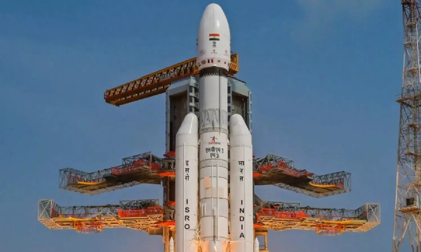 புளு பேர்ட்