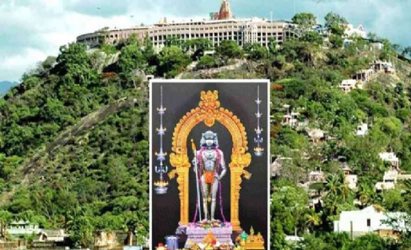 பழனி முருகன் கோவில் இன்று கார்த்திகை தீபத்திருவிழா கோலாகலம் பழனி முருகன் கோவில் இன்று கார்த்திகை தீபத்திருவிழா கோலாகலம்