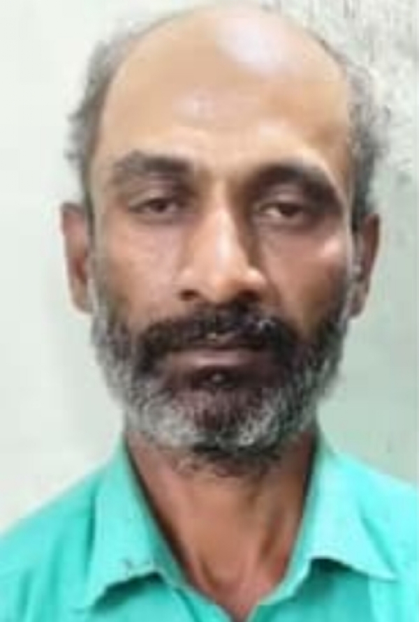 Sexual Assault Sexual Assault