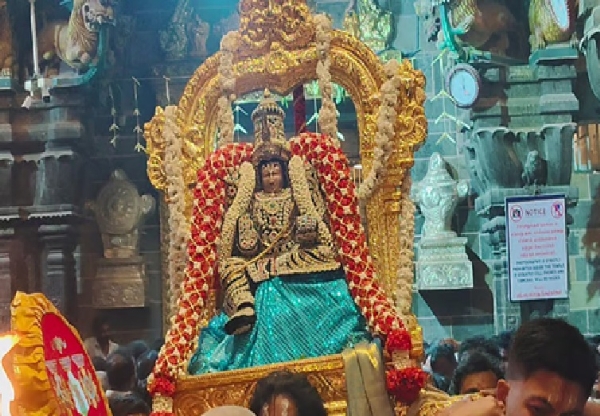 சிதம்பரம் வைகுண்ட ஏகாதசி திருவிழா - திரளான பக்தர்கள் சாமி தரிசனம்