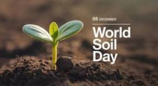 இன்று (டிசம்பர் 5) உலக மண் தினம் (World Soil Day) இன்று (டிசம்பர் 5) உலக மண் தினம் (World Soil Day)