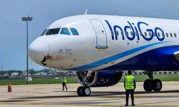 இண்டிகோ விமான சேவை வரும் திங்கட்கிழமைக்குள் இயல்பு நிலைக்கு திரும்பும் என மத்திய அரசு நம்பிக்கை இண்டிகோ விமான சேவை வரும் திங்கட்கிழமைக்குள் இயல்பு நிலைக்கு திரும்பும் என மத்திய அரசு நம்பிக்கை