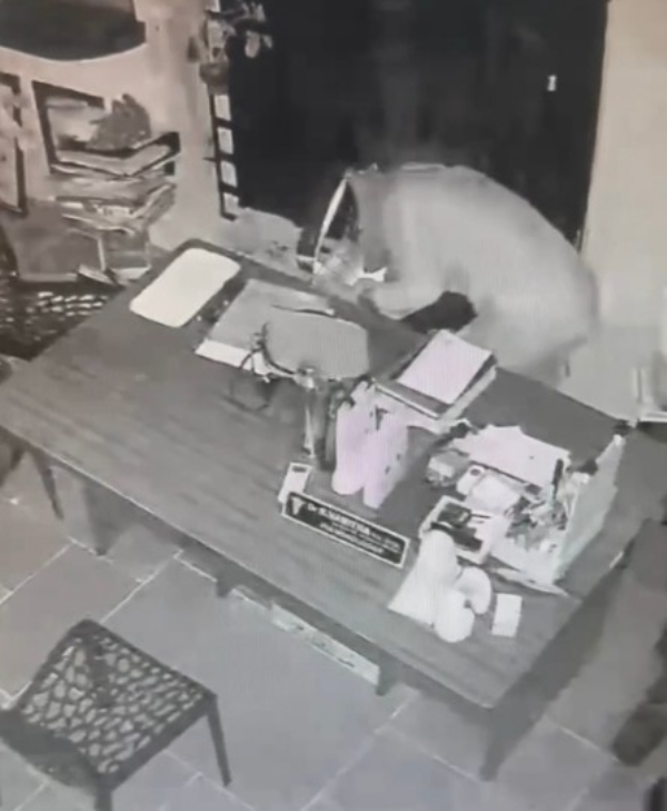 குற்றவாளிகுற்றவாளி குற்றவாளிகுற்றவாளி