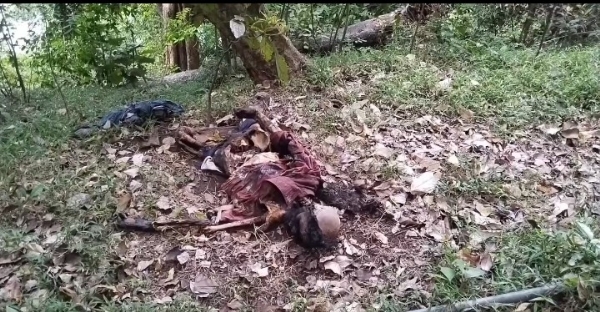 எலும்புக்கூடு