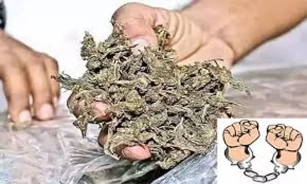 கஞ்சா கடத்தல் - இளைஞர் மீது வழக்கு