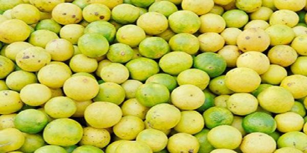 வெயிலின் தாக்கத்தால் எலுமிச்சை விலை உயர்வு