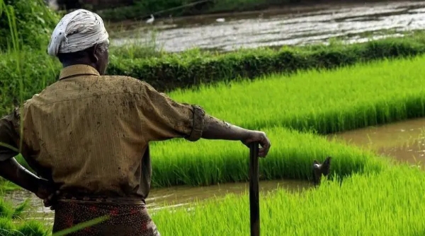 விவசாயிகளின் நில உடைமைகள் சரிபார்ப்புக்கான கால அவகாசம் நீட்டிப்பு