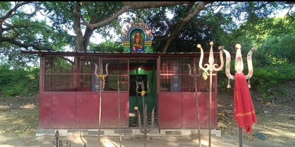 கோயில் உண்டியலை உடைத்து 1 லட்ச ரூபாய்க்கு மேல் பணம் திருட்டு -போலீஸ் விசாரணை
