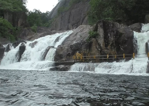 மணிமுத்தாறு அருவியில் சுற்றுலா பயணிகள் குளிக்கத் தடை - வனத்துறை அறிவிப்பு