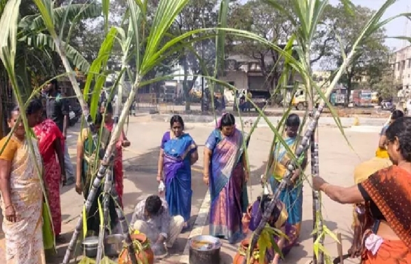 சென்னை மாநகராட்சி சார்பில் சமத்துவப் பொங்கல் கொண்டாட்டம்