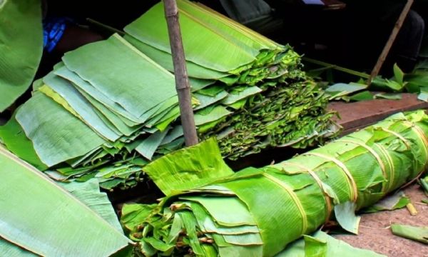Banana leaf