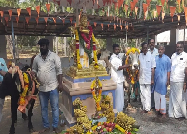 மாட்டுப் பொங்கலை முன்னிட்டு விவேகானந்த கேந்திர கோசாலையில் சிறப்பு பூஜை