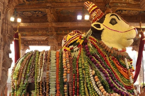 மாட்டுப்  பொங்கலை முன்னிட்டு தஞ்சை பெருவுடையார் கோவிலில் இன்று கோ-பூஜை