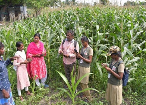 சிவகாசியில் டிஜிட்டல் பயிர் சர்வே பணிக்கு தன்னார்வலர்கள் விண்ணப்பிக்கலாம் - வேளாண்துறை அறிவிப்பு