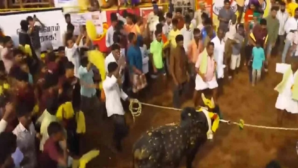 உலக புகழ்பெற்ற பாலமேடு ஜல்லிக்கட்டு கோலாகல தொடக்கம்