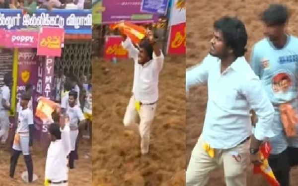 அலங்காநல்லூர் ஜல்லிக்கட்டில் தவெக கொடி - இணையத்தில் பரவும் வீடியோ