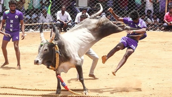 மஞ்சுவிரட்டு