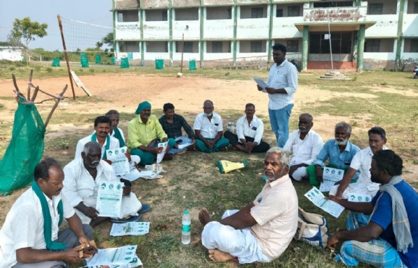 தங்கச்சி