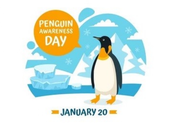 இன்று (ஜனவரி 20) பென்குயின் விழிப்புணர்வு தினம்