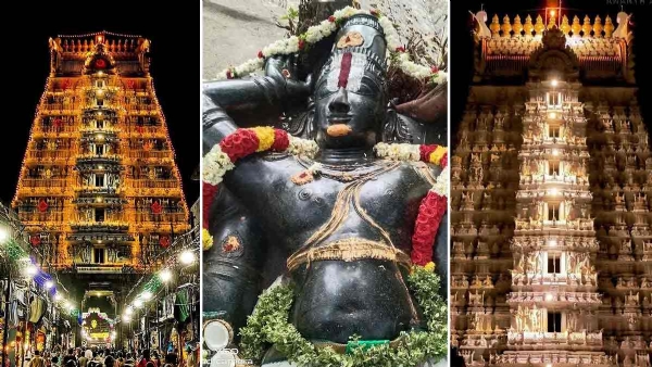 கோவிந்தராஜ் சாமி