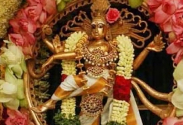 சிதம்பரம் நடராஜா் கோயிலில் ஆருத்ரா தரிசன விழா கோலாகலம்