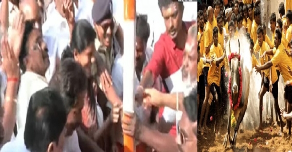 அவனியாபுரம் ஜல்லிக்கட்டு விழாவுக்கு பந்தக்கால் நடும் நிகழ்ச்சி கோலாகலம் அவனியாபுரம் ஜல்லிக்கட்டு விழாவுக்கு பந்தக்கால் நடும் நிகழ்ச்சி கோலாகலம்