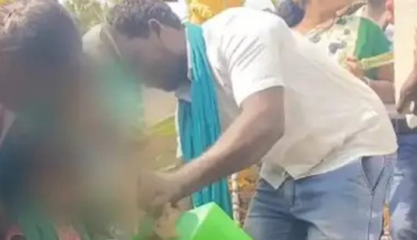 Palm Festival Palm Festival