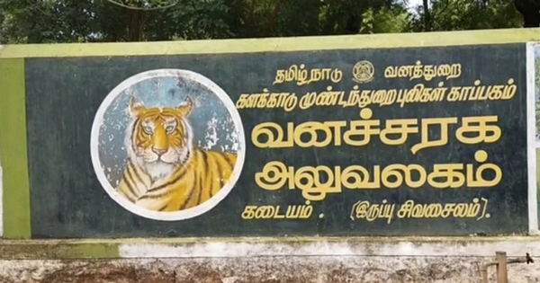 Tenkasi Forest