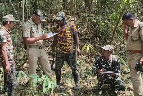 புலிகள் கணக்கெடுப்பு பணிக்கு 186 களப்பணியாளர்கள் நியமனம் புலிகள் கணக்கெடுப்பு பணிக்கு 186 களப்பணியாளர்கள் நியமனம்