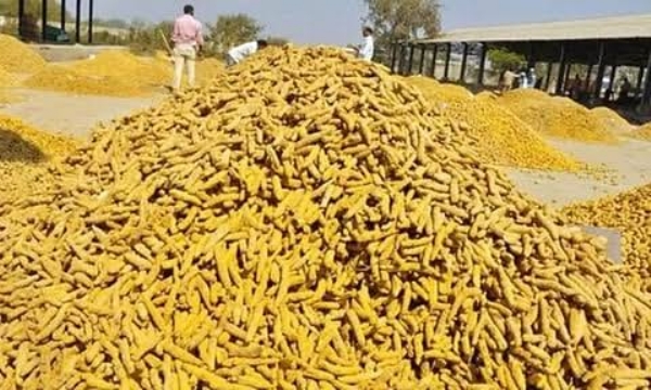 Turmeric Turmeric