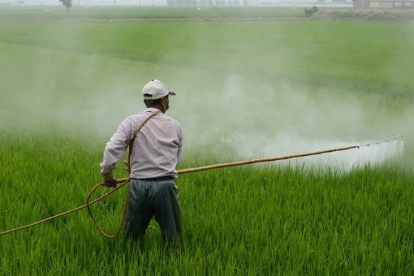 Farmers Farmers