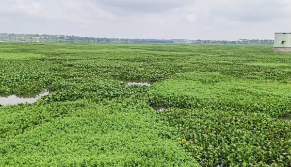 Kelavarapalli Dam Kelavarapalli Dam