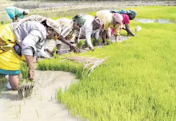 Damaged shutter at Veerapandi check dam! 400 acres of paddy cultivation affected?