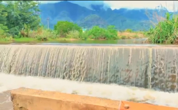 Falls