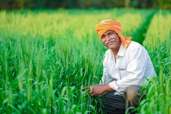 Farmers