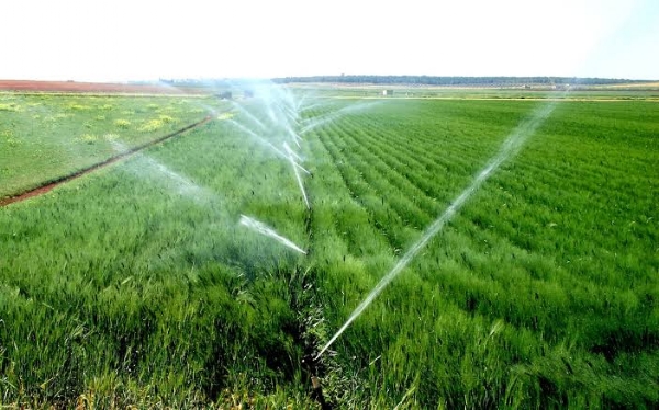 Farmers water