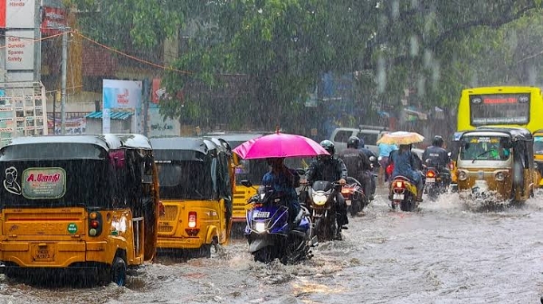 Rain Rain