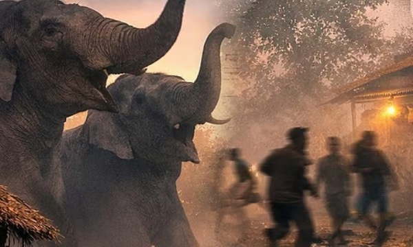 ஜார்கண்ட் மாநிலத்தில் காட்டு யானைகளின் வெறிச்செயல் - ஒரே குடும்பத்தைச் சேர்ந்த 4 உயிர்கள் பலி