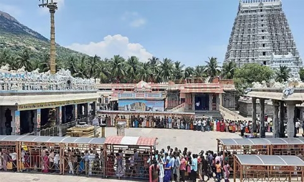 மகா சிவராத்திரி - திருவண்ணாமலை திருக்கோயிலில் பக்தர்கள் இரவு முழுவதும் சாமி தரிசனம்