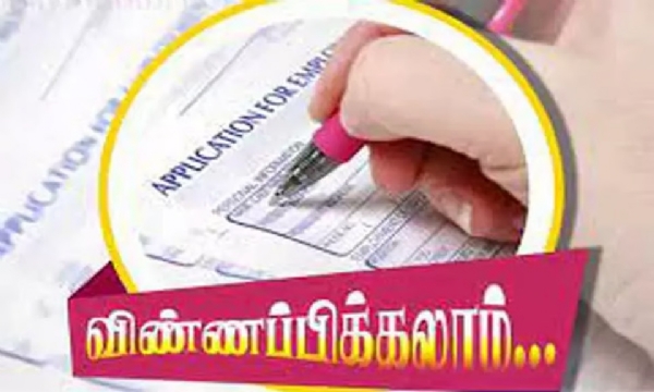 மத்திய அரசுப் பள்ளியில் காலிப் பணியிடங்கள் - தூத்துக்குடி மாவட்டத்தில் தகுதியுடையோர் விண்ணப்பிக்கலாம் மத்திய அரசுப் பள்ளியில் காலிப் பணியிடங்கள் - தூத்துக்குடி மாவட்டத்தில் தகுதியுடையோர் விண்ணப்பிக்கலாம்