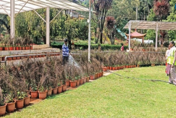 கோடை சீசனுக்காக ஊட்டி தாவரவியல் பூங்காவில் மலர் நாற்றுக்களை பராமரிக்கும் பணிகள் தீவிரம்
