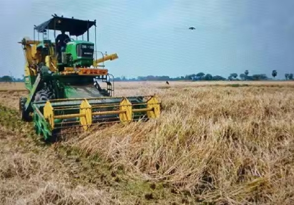 கோவையில் நெல் அறுவடை பணிகள் தொடக்கம்