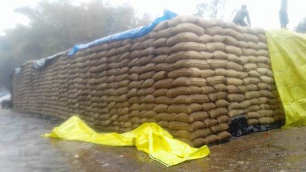 நெல் முட்டைகள்