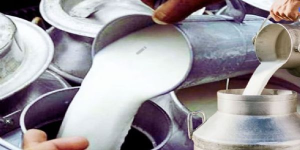 பால் கலப்படம் - இந்திய உணவு பாதுகாப்புத்துறை அதிரடி நடவடிக்கை