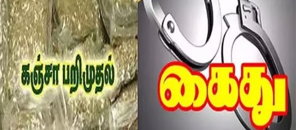 திருநெல்வேலி மேலப்பாளையத்தில் ஒன்றரை கிலோ கஞ்சா பறிமுதல் - இளைஞர் கைது