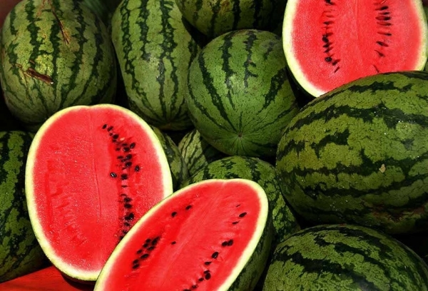 Watermelon Prices Rise in Erode